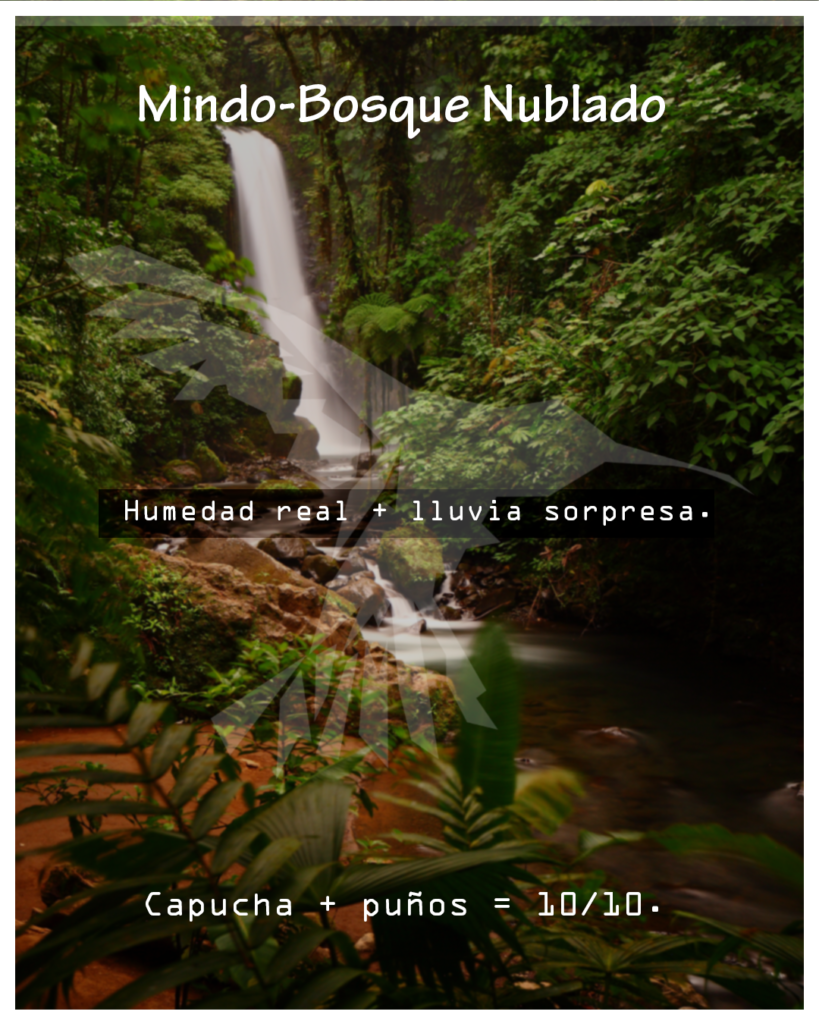 Mindo Bosque Nublado WAKAN593